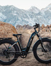 13 Best Electric Bikes 2025