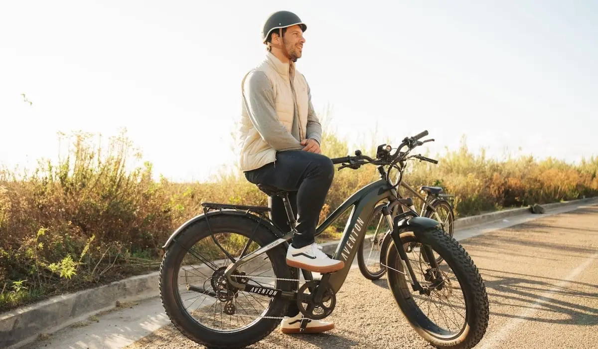 Best electric bike for large person sale