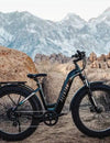 Top 10 Electric Bikes of 2025