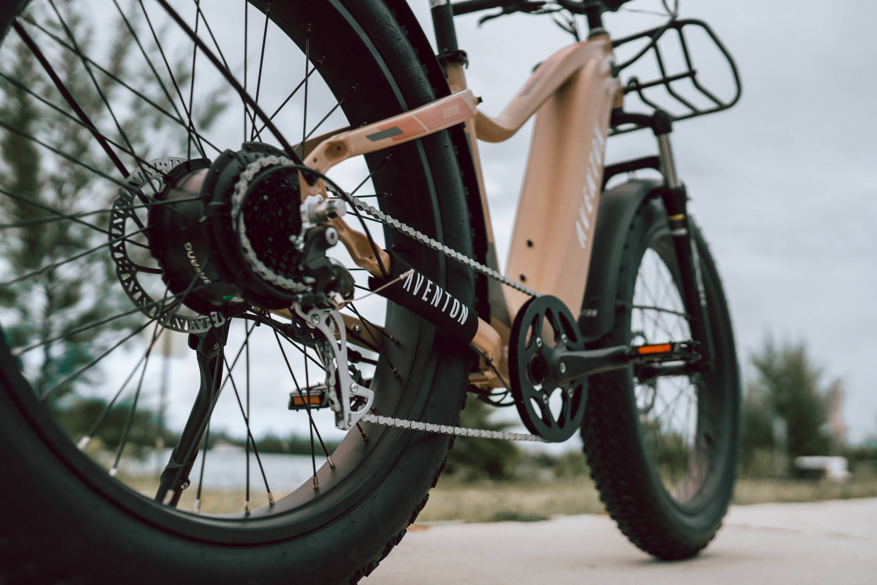 How to Clean an Ebike Chain